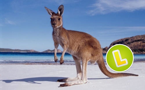 Poznaj nowe gry w Lottoland Graj online w cztery australijskie gry